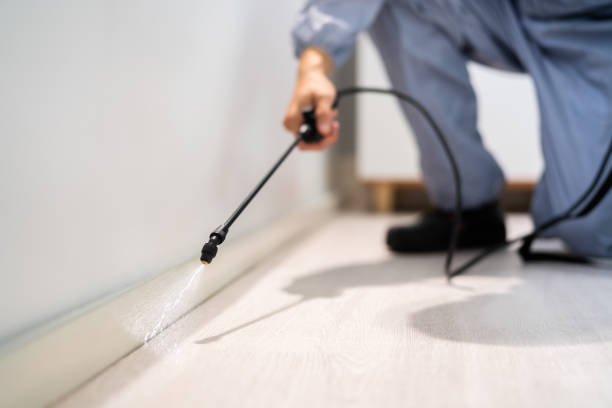Licensed Pest Control service in Bloomington, IL - Show Me Pest Control