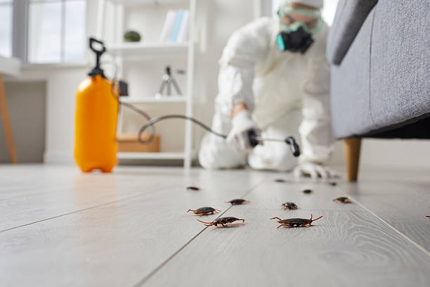 Post-Treatment Bed Bug Interceptor Monitoring in Bloomington