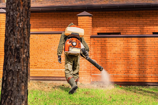 Bed Bug Clearance Verification and Documentation in Bloomington